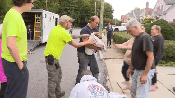 Rescuers save a dog that was trapped underneath a storm drain in Pennsylvania Rescuers save a dog that was trapped underneath a storm drain in Pennsylvania
