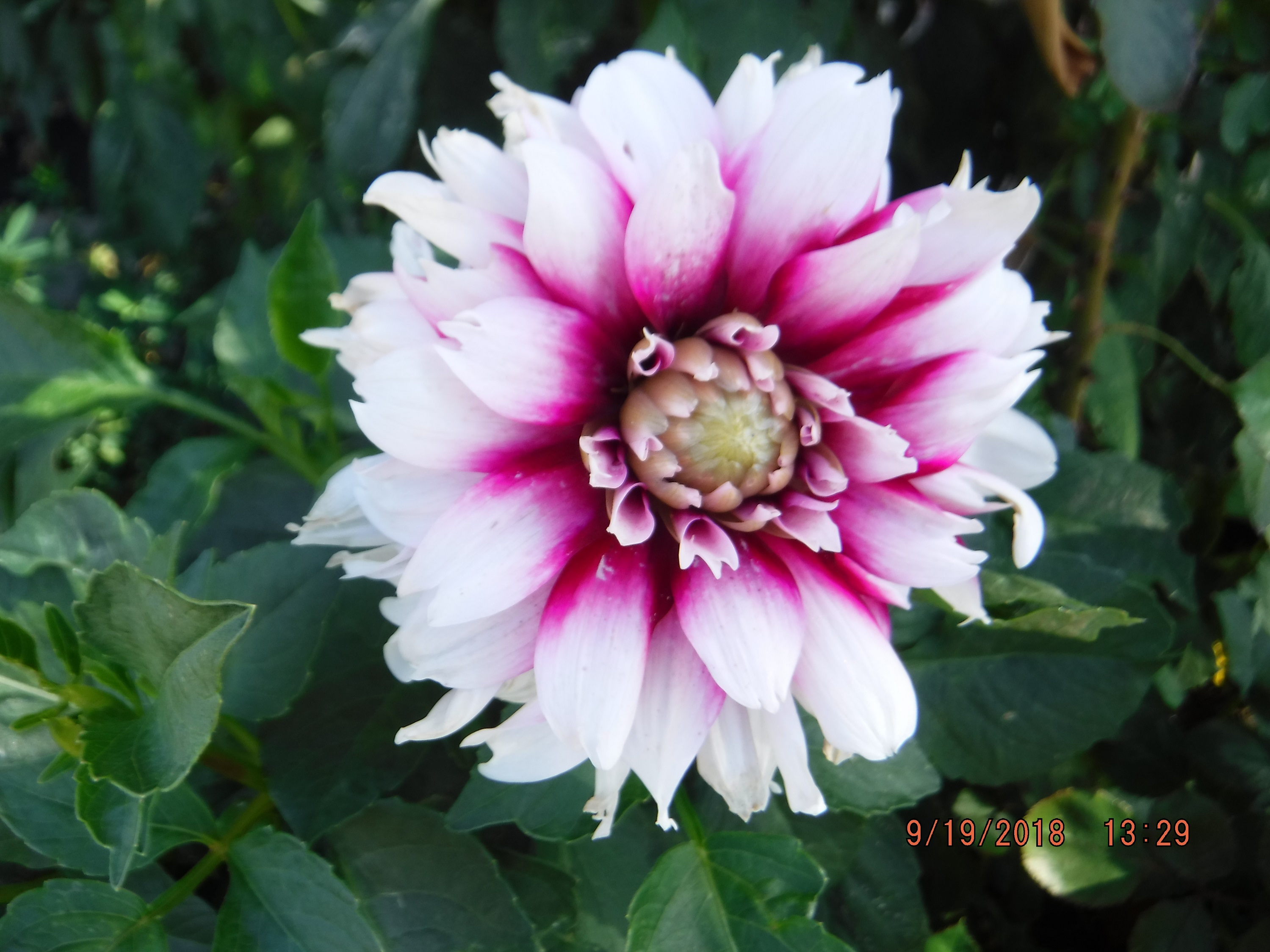 Photo taken by me Photo taken by me