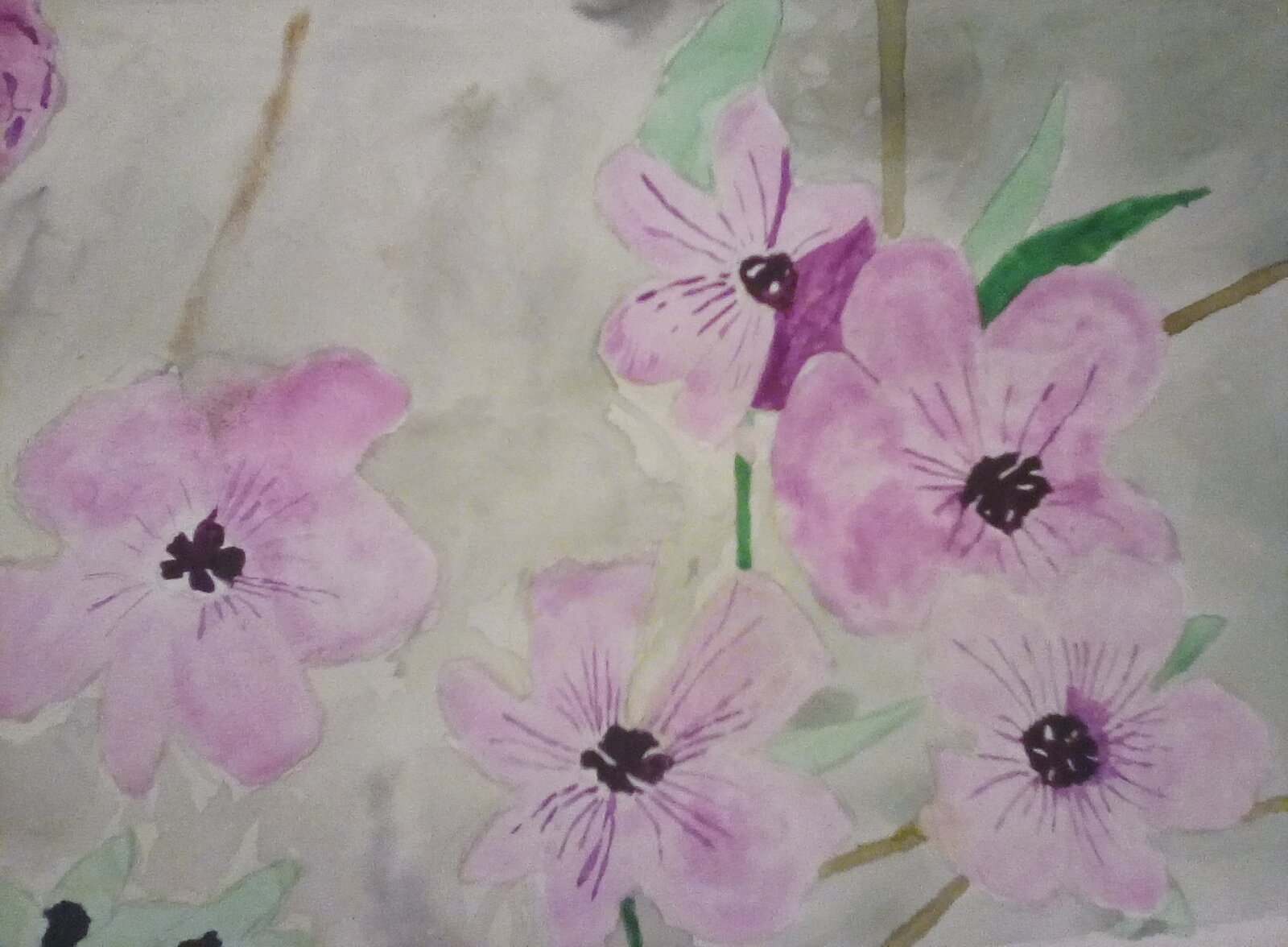 Watercolour painting - flowers. 