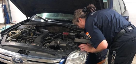 Animal control garage mechanic rescues a cat under a hood in Indiana Animal control garage mechanic rescues a cat under a hood in Indiana