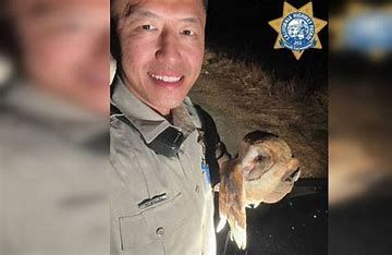 CHP officer Matthew Hang rescue an injured owl CHP officer Matthew Hang rescue an injured owl