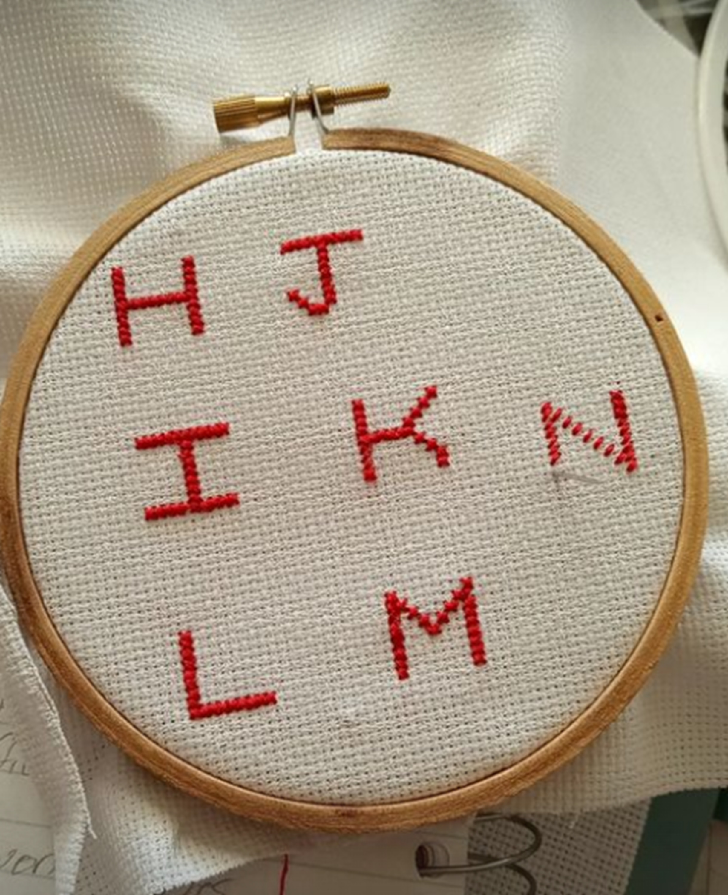 Photo I took of the letters I stitched