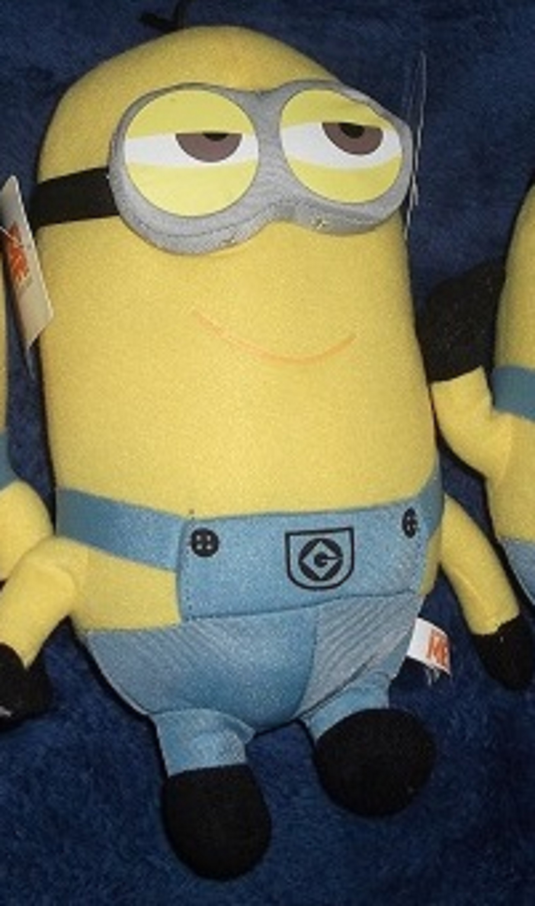 Photo I took of a minion I used to have. Photo I took of a minion I used to have.