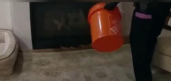 Boulder police officer using a bucket to remove a snake from inside a house.