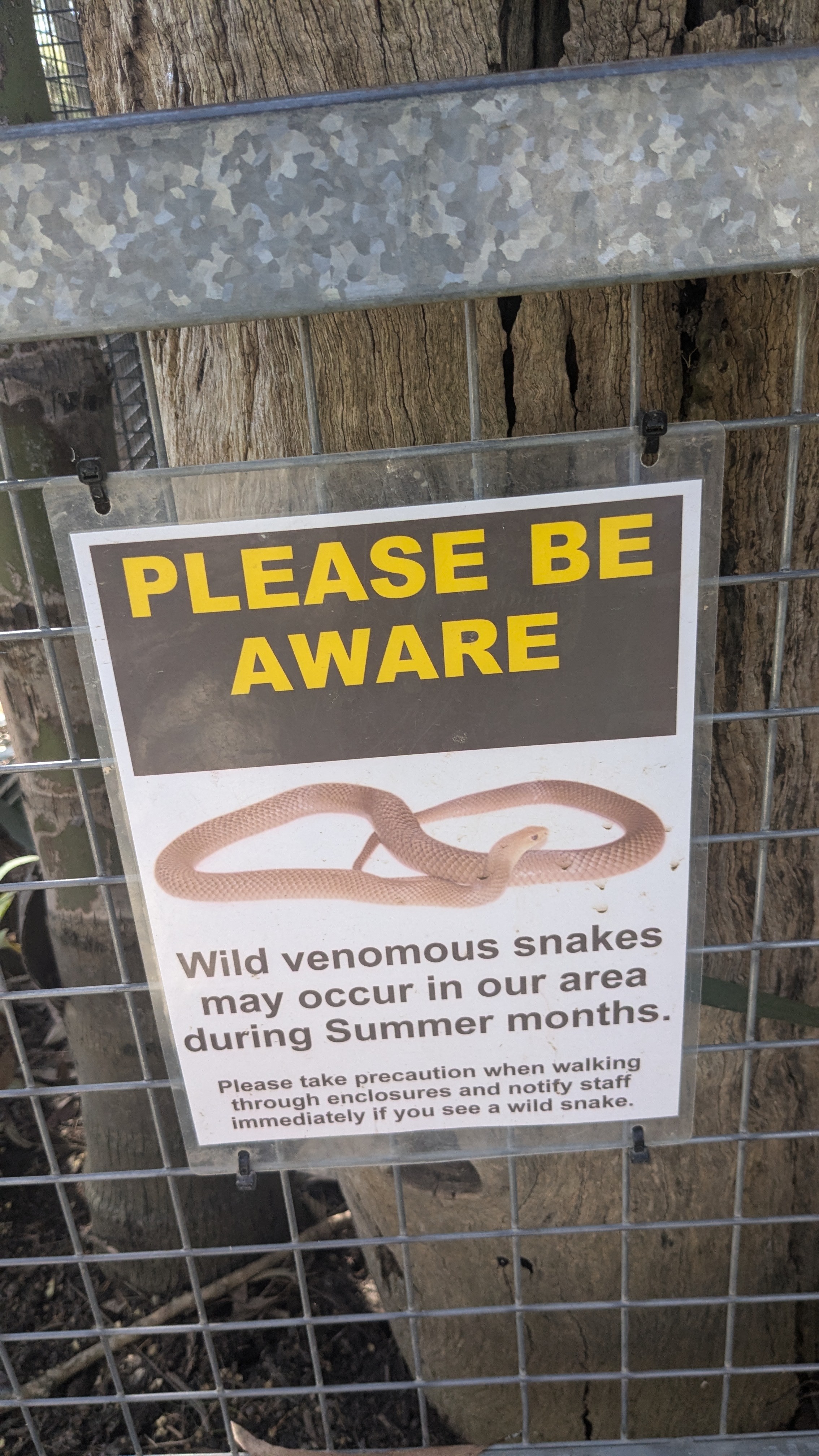 Snake sign!