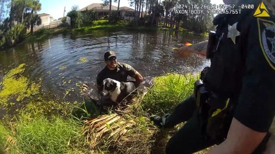 A deputy with the Flagler County Sheriff&#039;s Office rescues a dog in a pond.