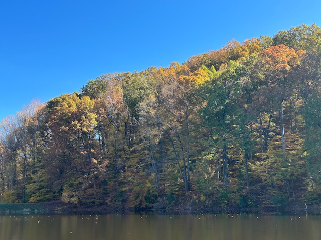 Jefferson Memorial Forest.  Photo taken by and the property of FourWalls.