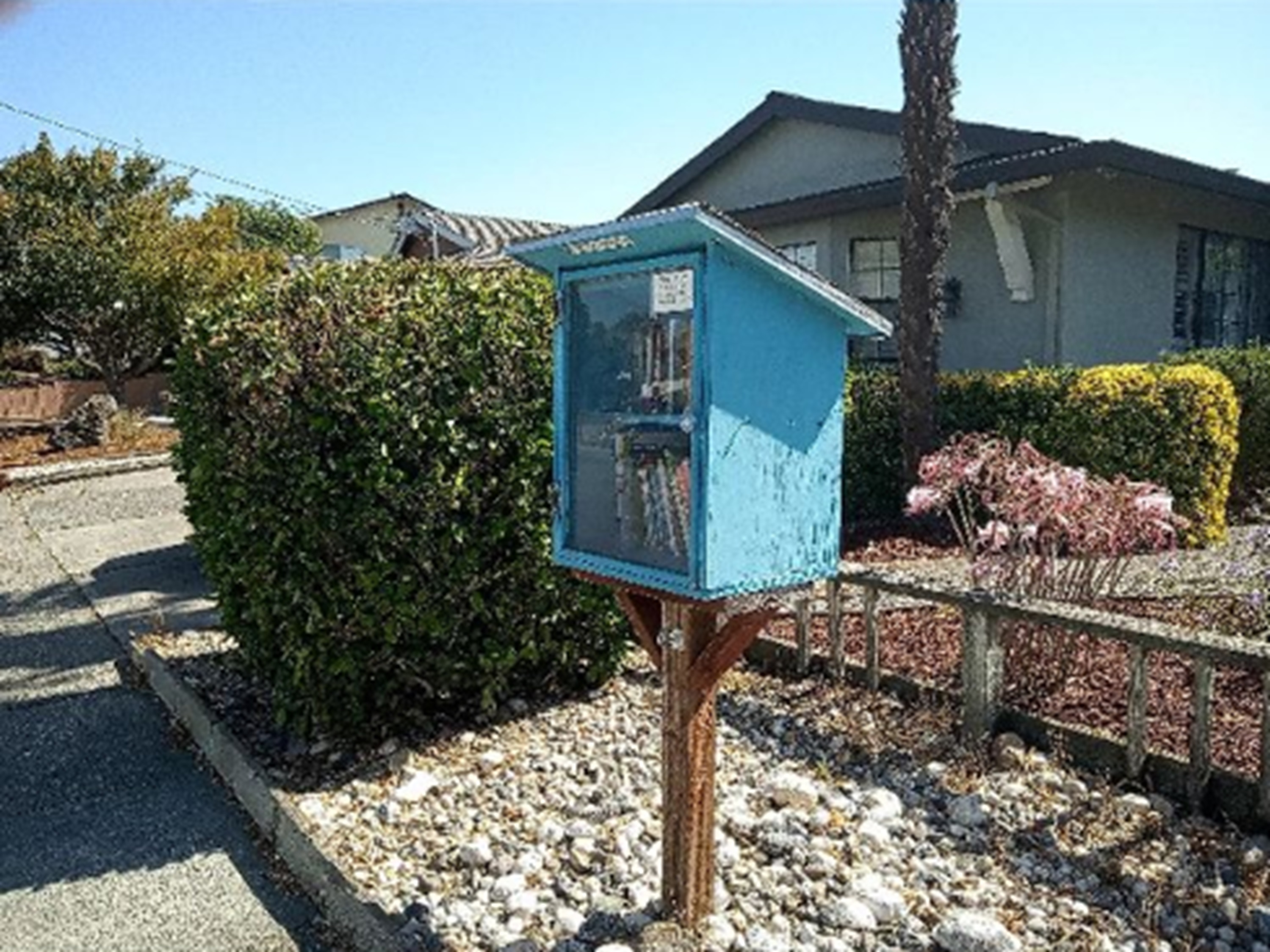 The "little library" I wound up putting the book in