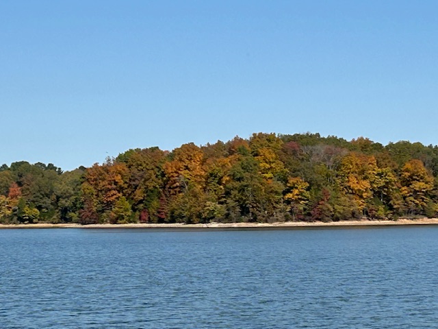 Land Between the Lakes National Recreation Area, Kentucky.  Photo taken by and the property of FourWalls.