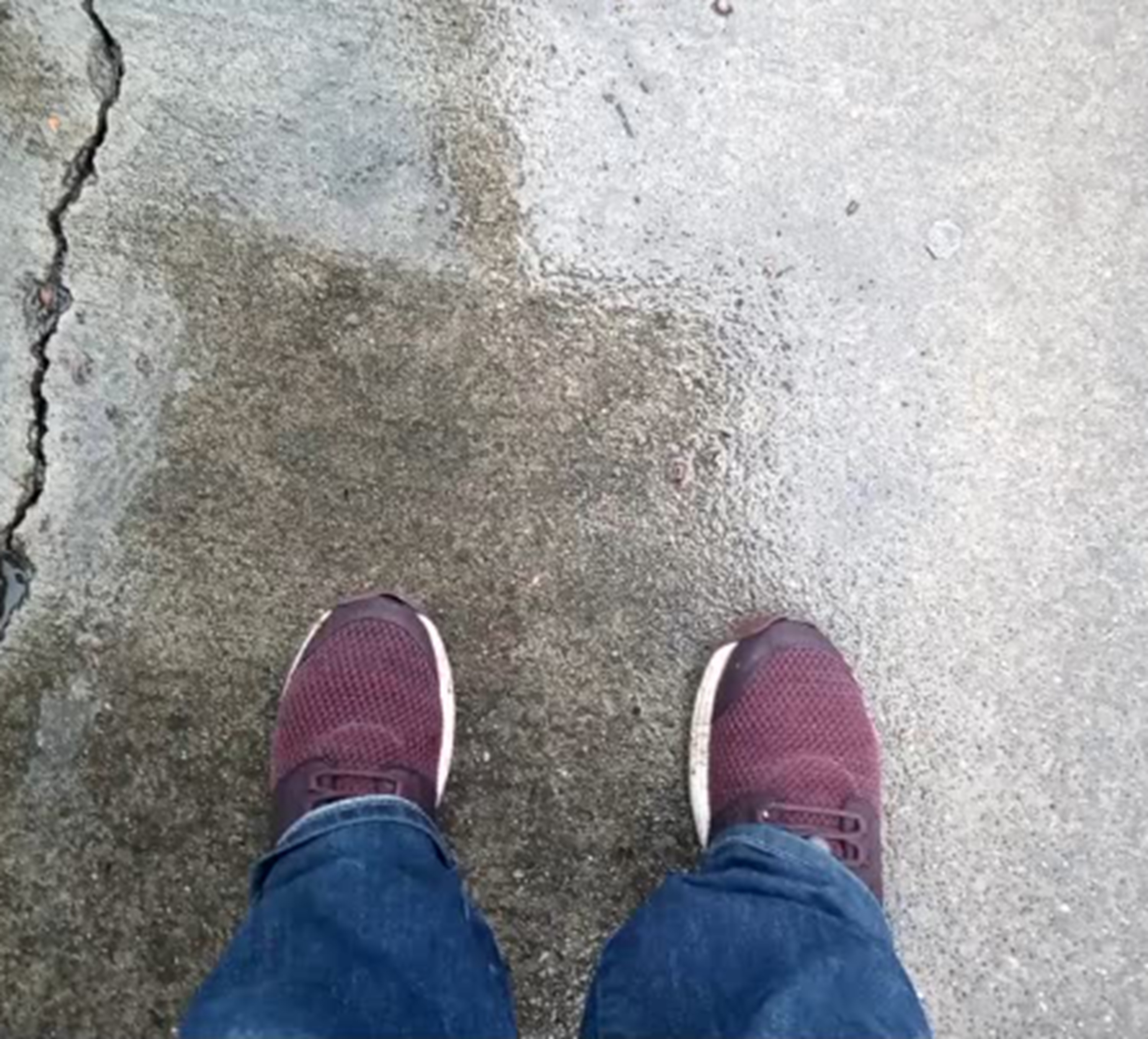 Photo I took of my soaked shoes 11-22-24