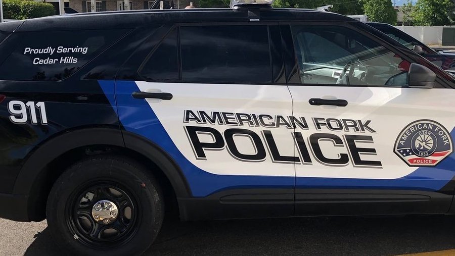 Image of a police car in American Fork Utah.