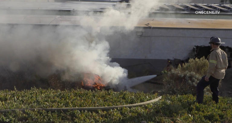 A police officer in California uses a fire extinguisher to rescue a car accident victim