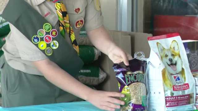 Boy Scout Blake Sparks doing his good work of assisting stray animals.