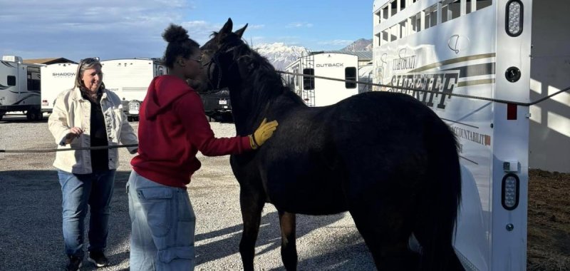 Bystanders capture a loose female horse running on a highway in Utah. 