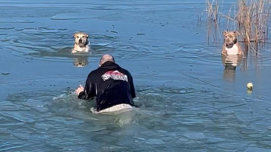 Arnie Weil rescues his two dogs Sonic and Yobo in Coot Lake in Colorado 