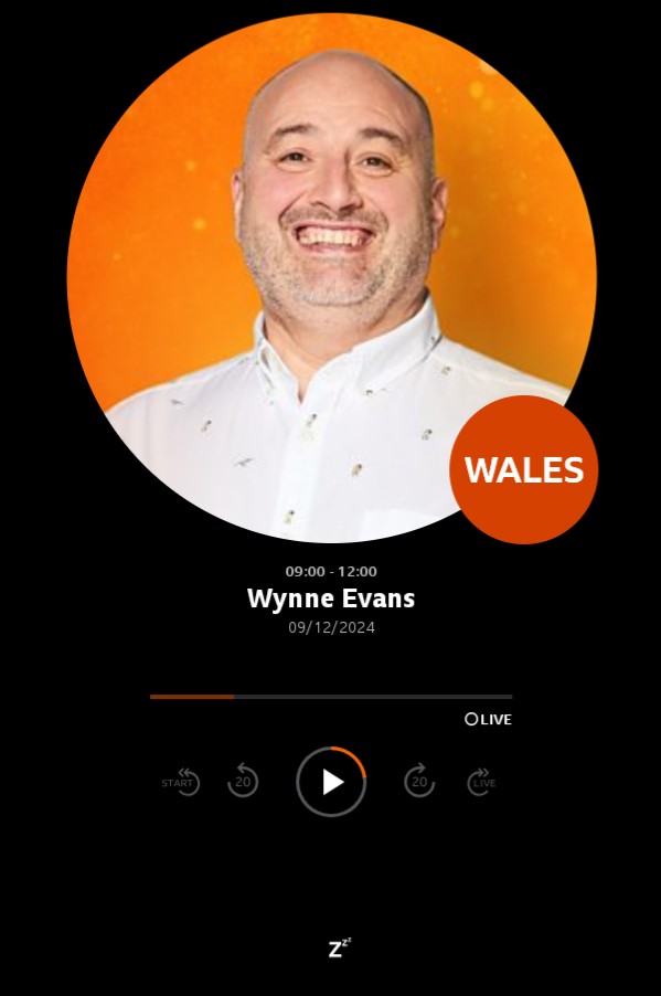 The Wynne Evans show