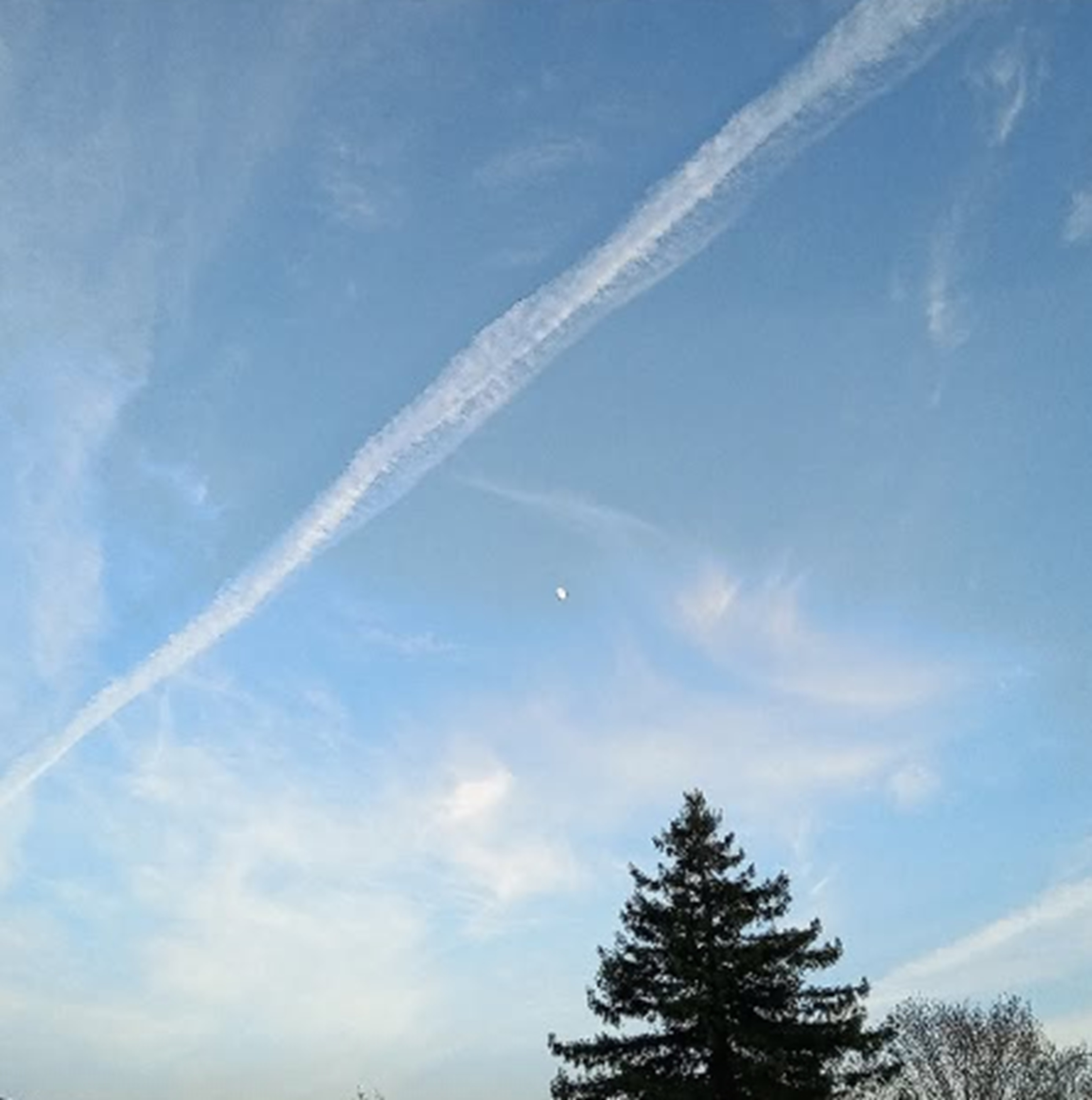 Photo I took on the way home from the store Photo I took on the way home from the store