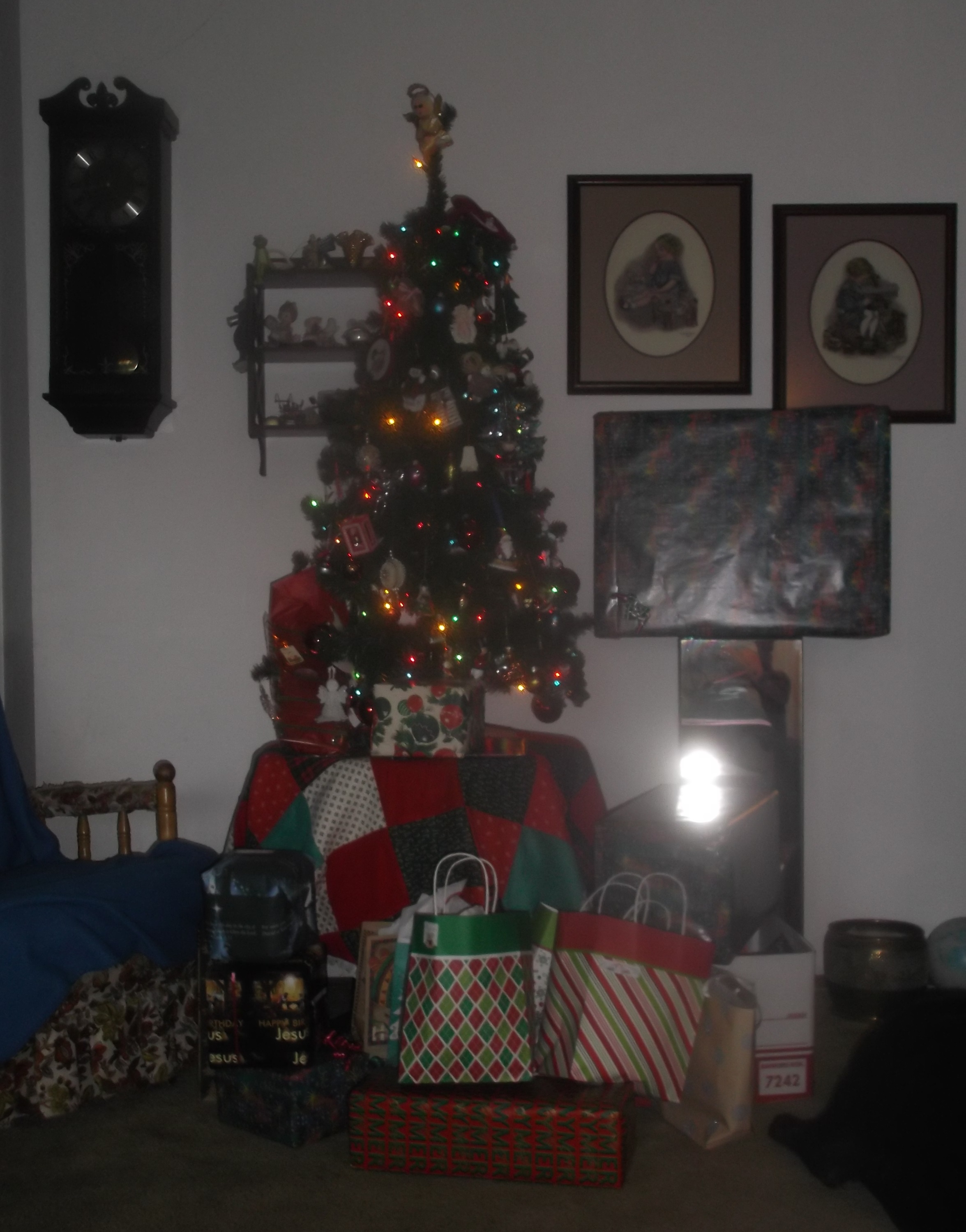 Photo taken by me at my house 2016 Photo taken by me at my house 2016