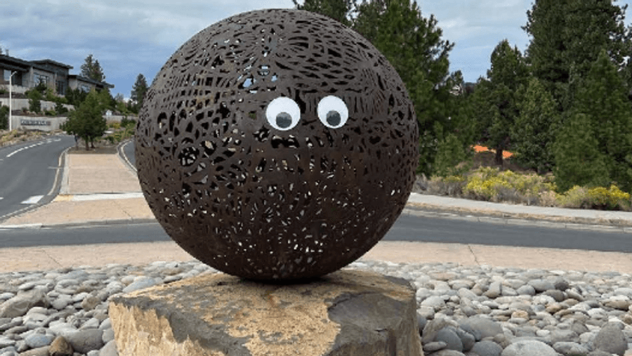 Googly eyes on a sculpture in Bend Oregon.