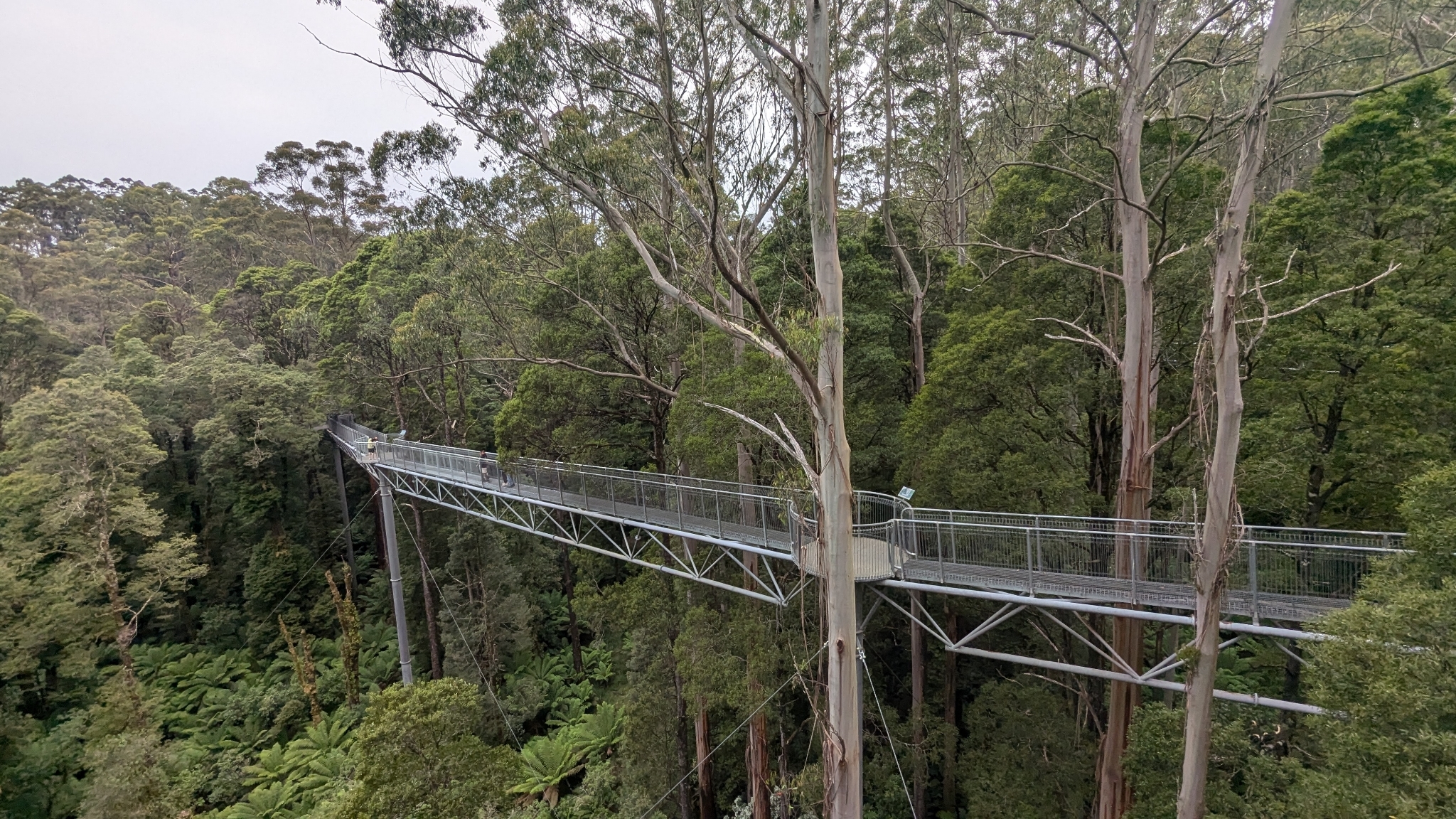 A walk among tree tops A walk among tree tops