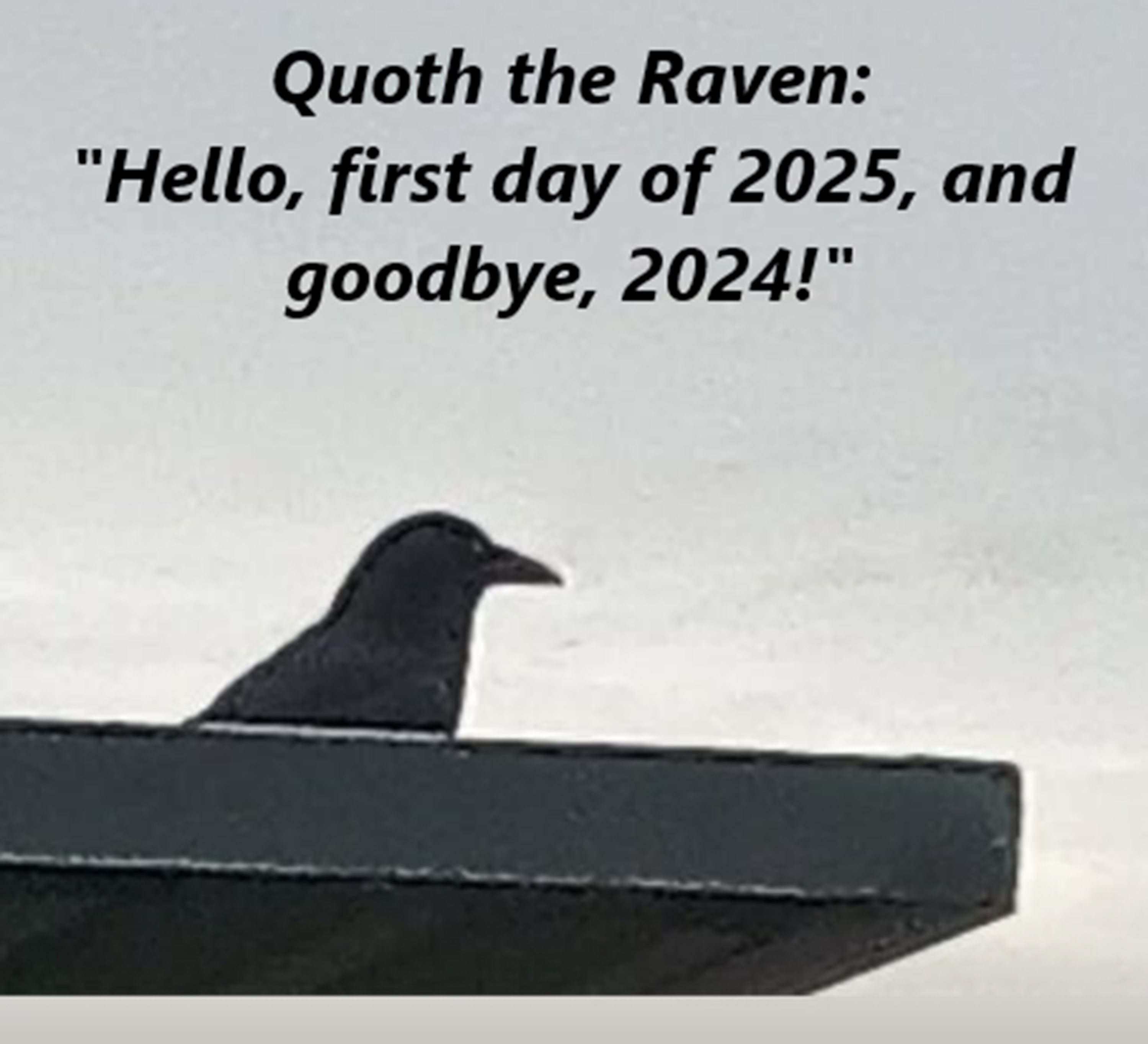 Photo I took on my walk 1-1-25 and words added on Microsoft Paint Photo I took on my walk 1-1-25 and words added on Microsoft Paint