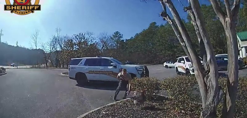 Shelby County Deputy Watkins catches a loose rooster in Alabama. Shelby County Deputy Watkins catches a loose rooster in Alabama.
