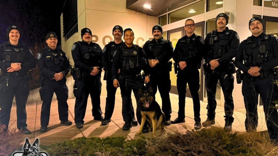 Appleton police officers with Zuul the dog who is retiring. Appleton police officers with Zuul the dog who is retiring.