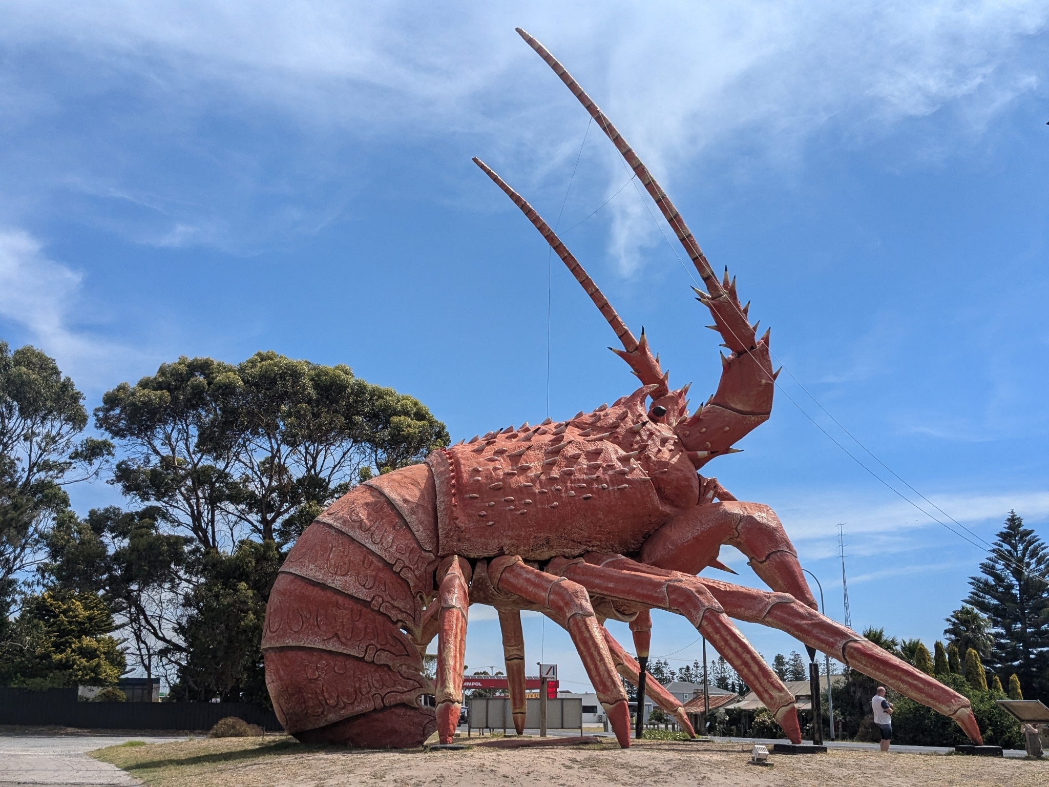 A big lobster