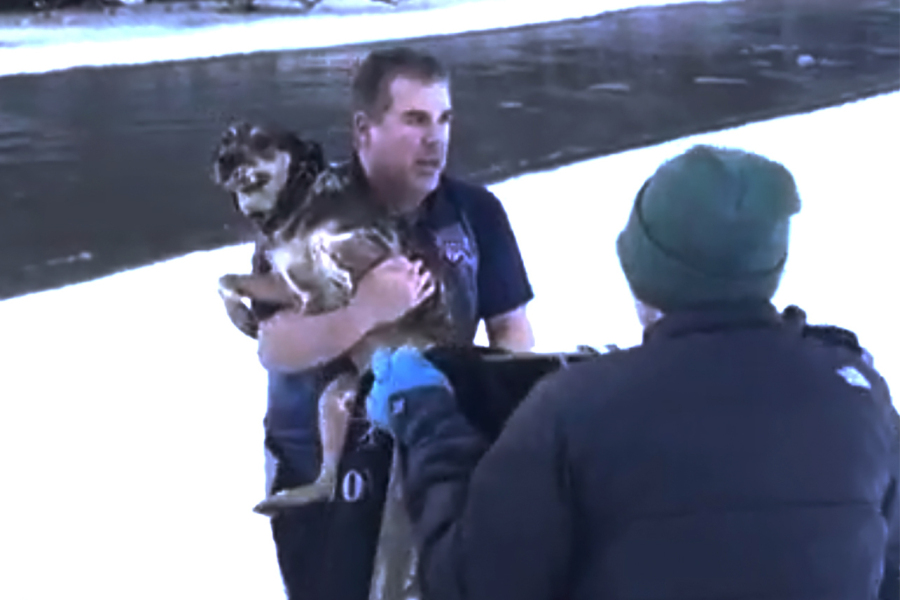 Chris MacRitchie rescues a dog that was struggling to stay afloat in a river in Vermont Chris MacRitchie rescues a dog that was struggling to stay afloat in a river in Vermont
