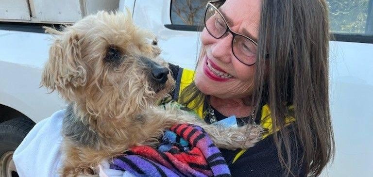 Bobo the dog reunites with his or her owner in Mississippi after three days away. Bobo the dog reunites with his or her owner in Mississippi after three days away.