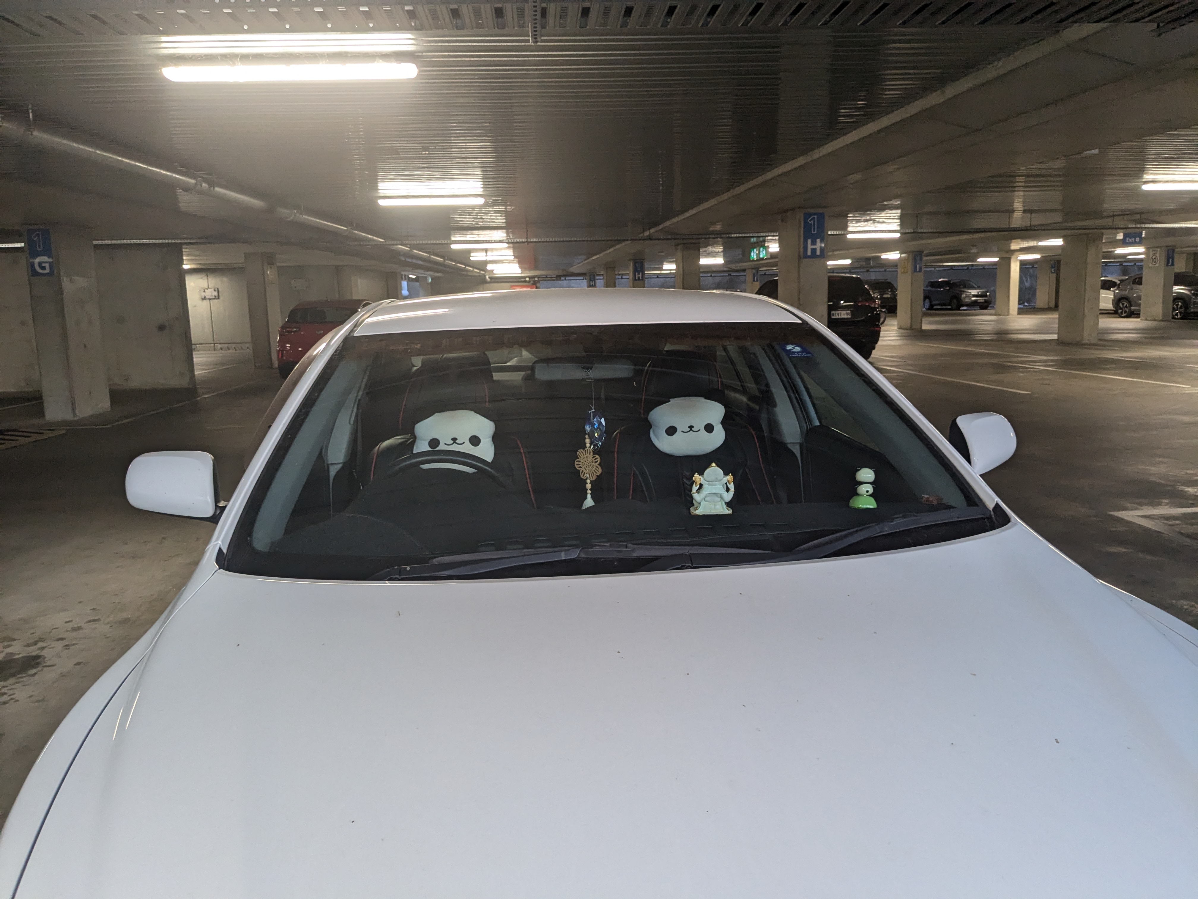Pandas in a car Pandas in a car