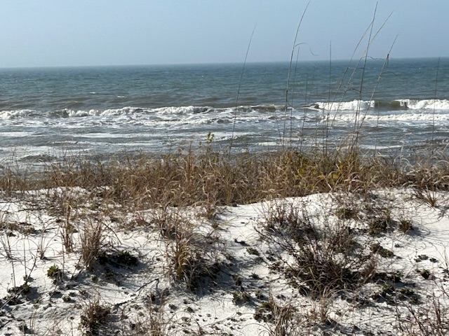 Mexico Beach, Florida.  Photo taken by and the property of FourWalls.