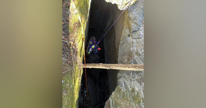 Tree worker rescued by first responders in New York state.