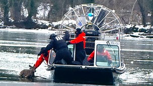 Washington D C authorities rescue a deer that was in the Potomac River. 