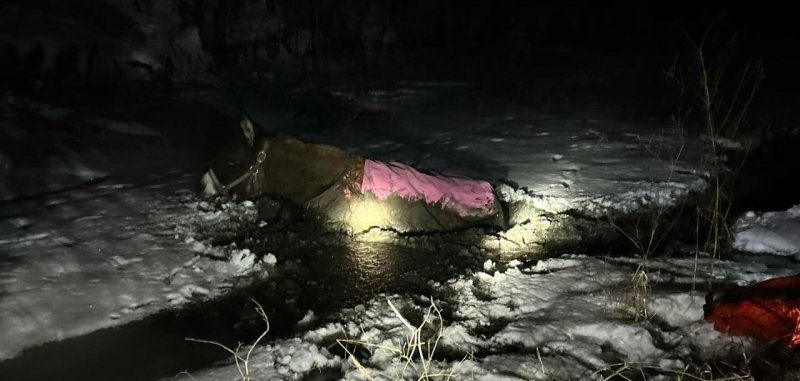 Firefighters rescue a donkey who fell into a frozen pond in Pennsylvania.