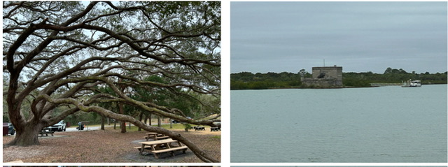 A live oak and the fort in the distance.  Photos taken by and the property of FourWalls.