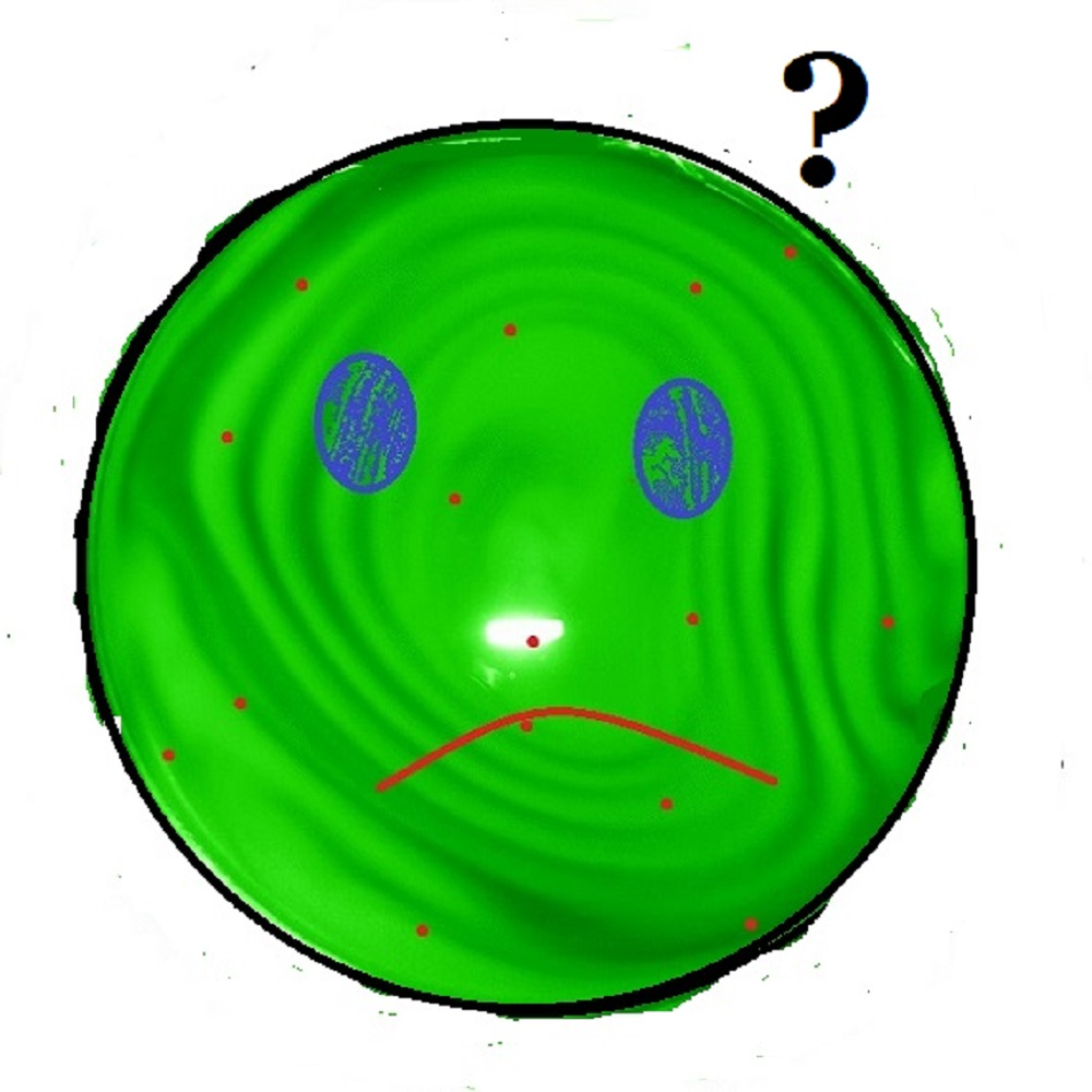 Created by me with photo and Microsoft Paint Created by me with photo and Microsoft Paint