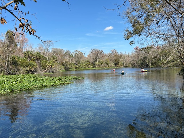Wekiwa Springs State Park. Photo taken by and the property of FourWalls. Wekiwa Springs State Park. Photo taken by and the property of FourWalls.