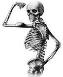 Skeleton - mAN Skeleton