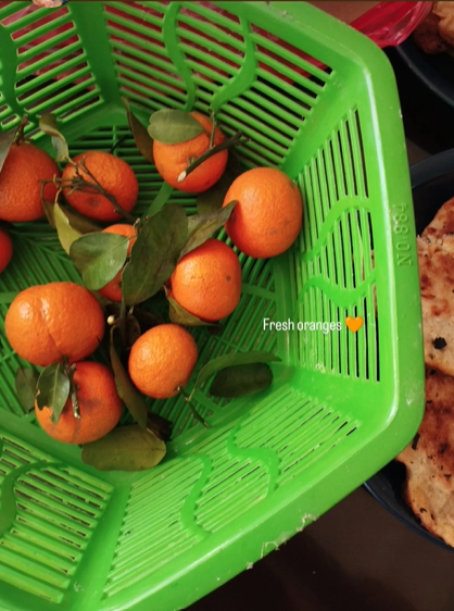 freshly picked oranges