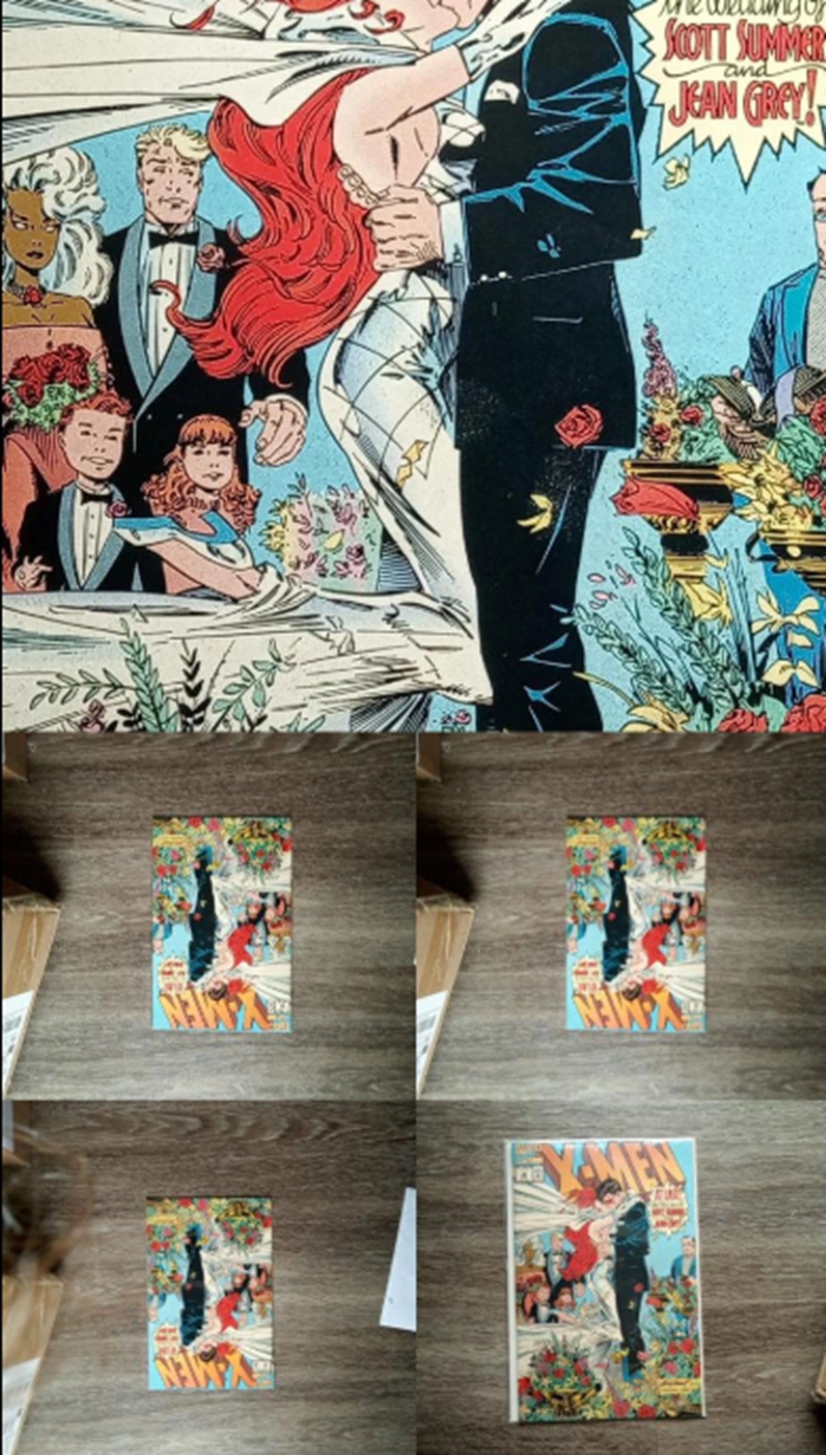 Collage of photos I took of one book