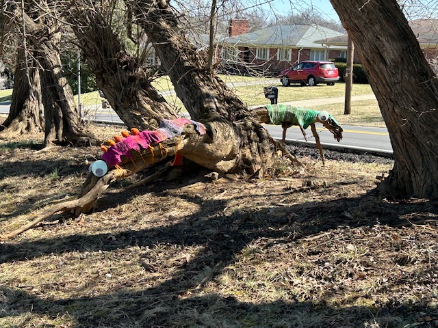 Branches turned into insects in Louisville.  Photo taken by and the property of FourWalls.