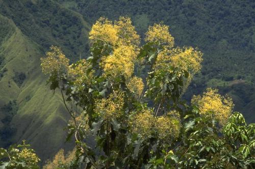 Green mountains - For those who kneel beside us At altars not Thine own, Who lack the lights that guide us, Lord, let their faith atone. If wrong we did to call them, By honour bound they came; Let not Thy Wrath befall them, But deal to us the blame.
