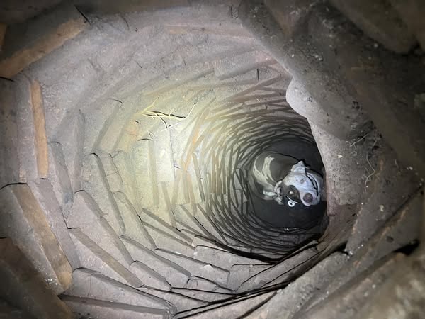 Animal control officers and firefighters rescue a dog trapped inside of a well in Texas Animal control officers and firefighters rescue a dog trapped inside of a well in Texas