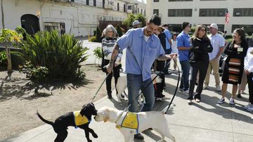 Inmates in California reunite with the that they raised as puppies.
