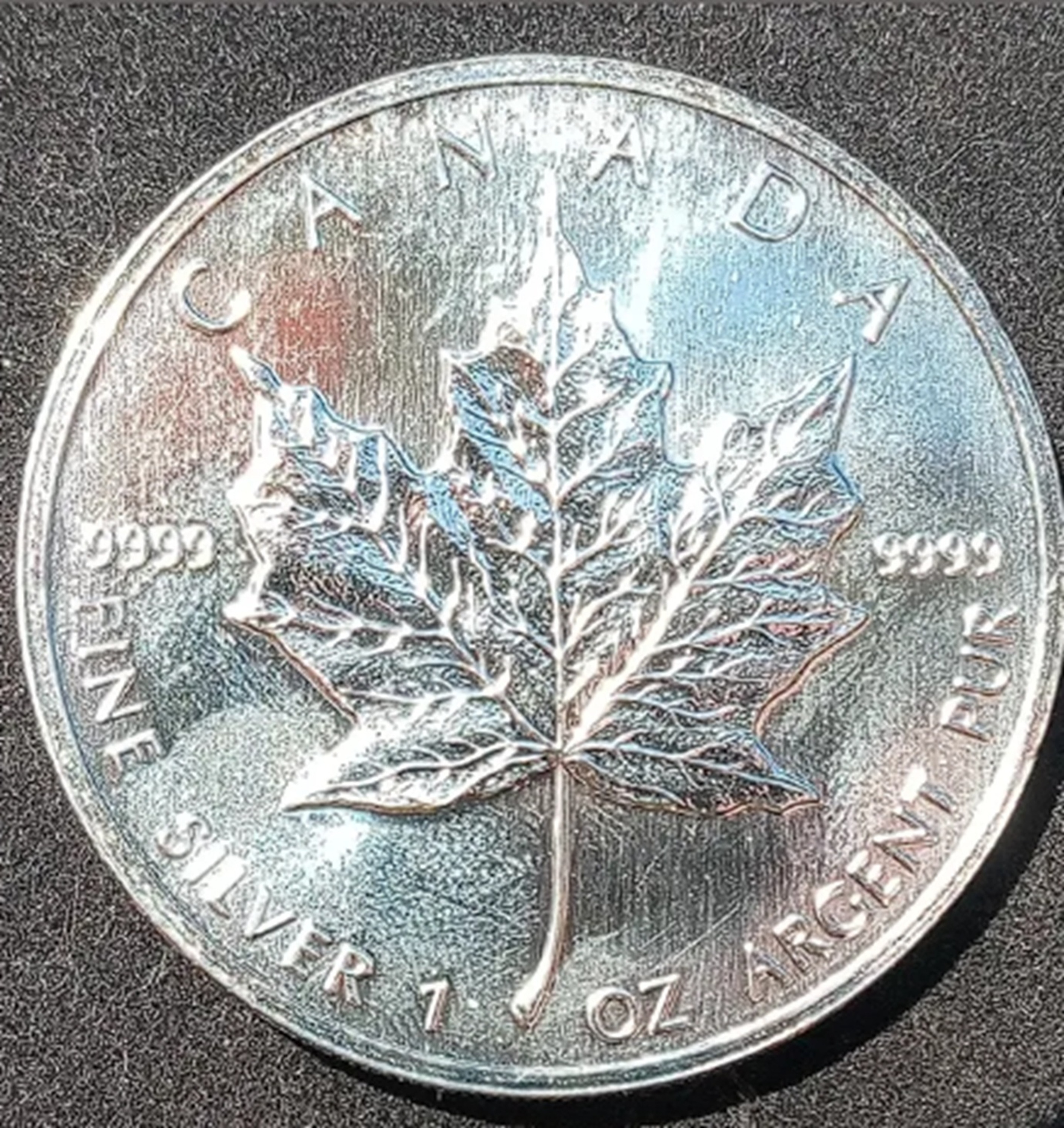 Photo I took of Canadian $5.00 coin outside Photo I took of Canadian $5.00 coin outside