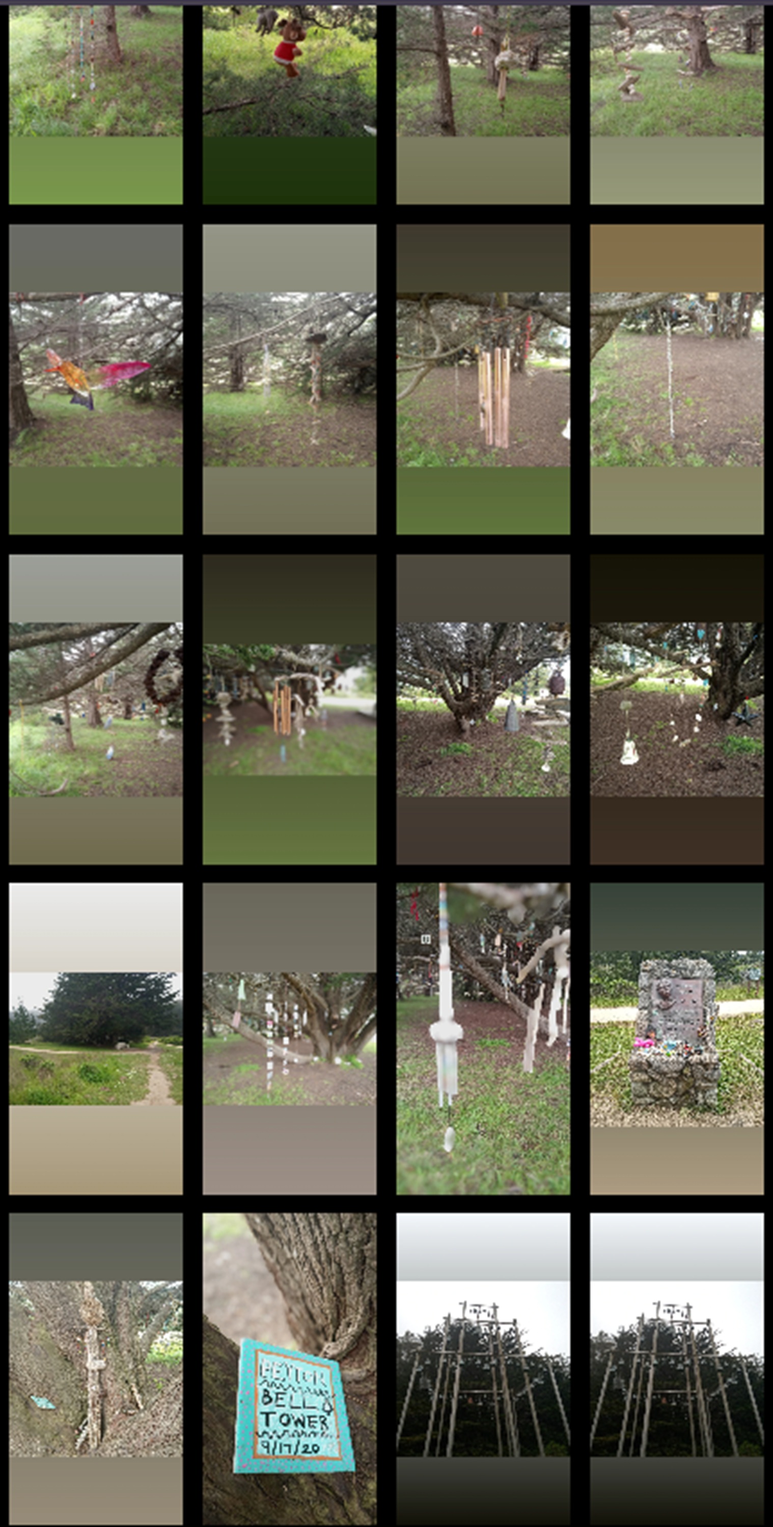 Screencap of some of the photos I uploaded