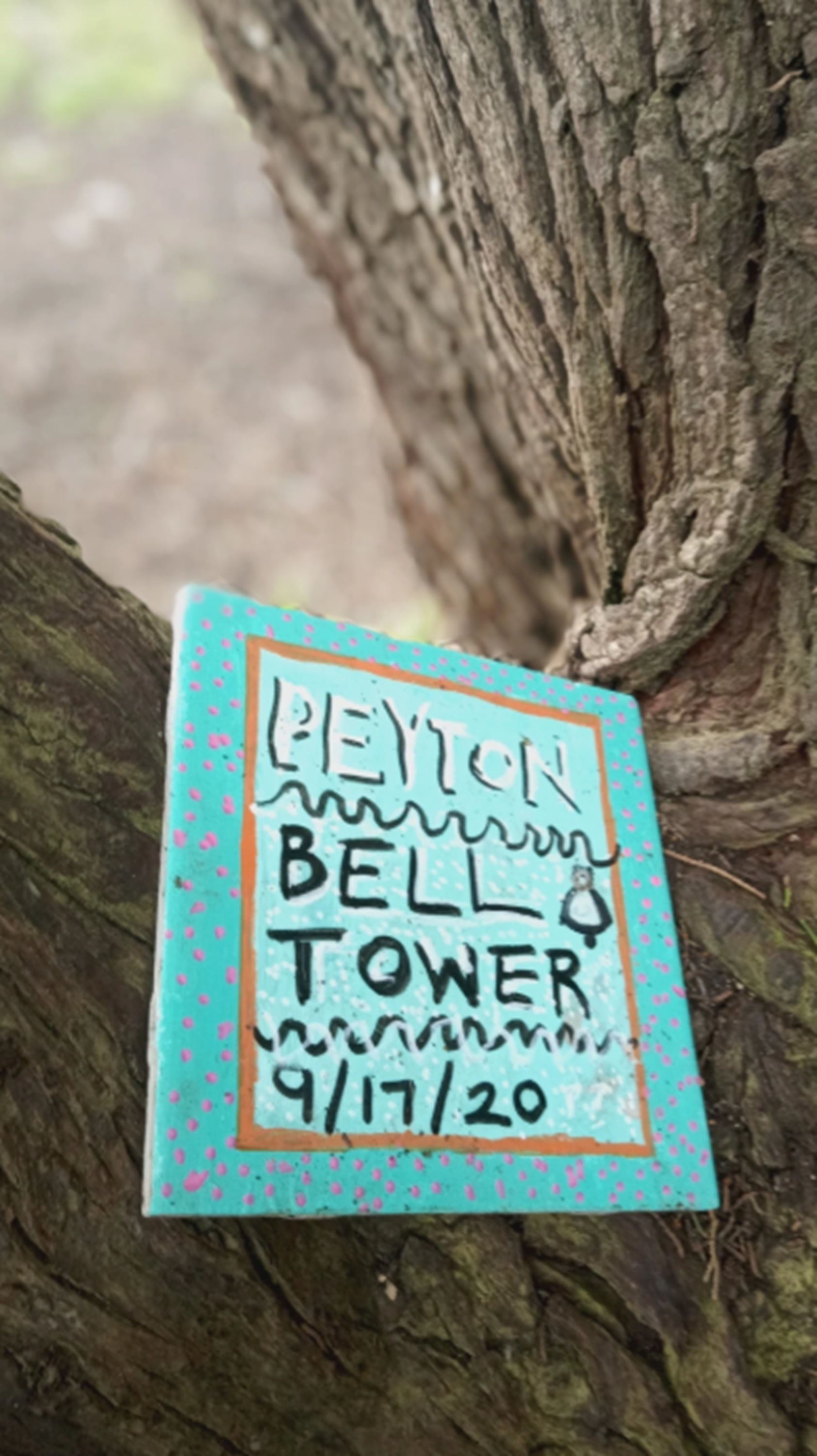 Photo from Nicholas Green Memorial tree 4-15-25 1 Photo from Nicholas Green Memorial tree 4-15-25 1