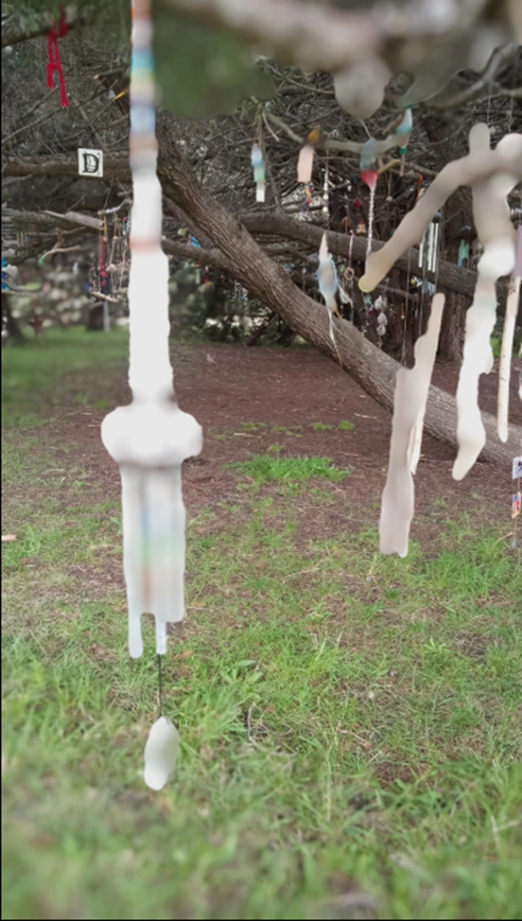 Photo I took of more of the goodies hanging in the memorial tree 4-15-25 Photo I took of more of the goodies hanging in the memorial tree 4-15-25