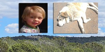 Boden Allen (inset) and the hero dog Buford in Arizona 